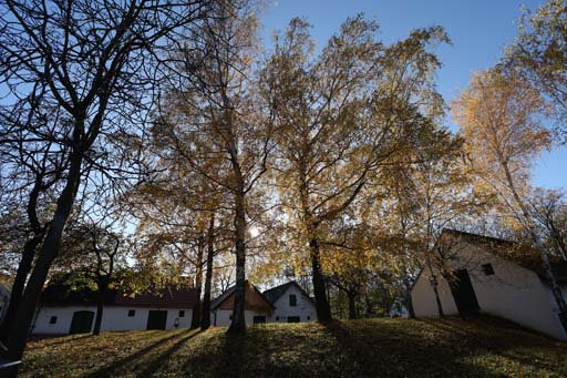 Kellergasse im Weinviertel